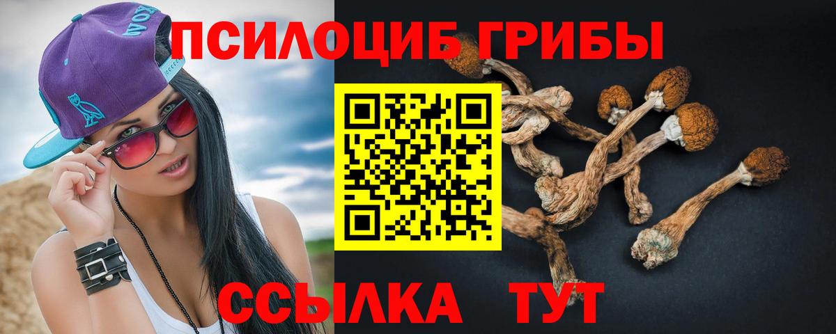 Псилоцибиновые грибы Magic Shrooms Кудымкар